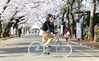 滿大街的摩拜ofo騎膩了,還有這些時髦又輕便的自行車